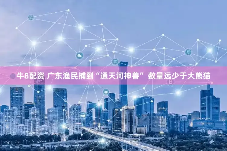 牛8配资 广东渔民捕到“通天河神兽” 数量远少于大熊猫