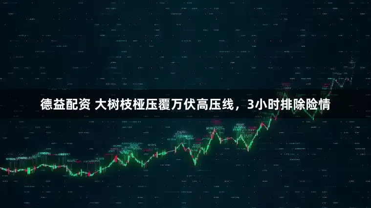 德益配资 大树枝桠压覆万伏高压线，3小时排除险情